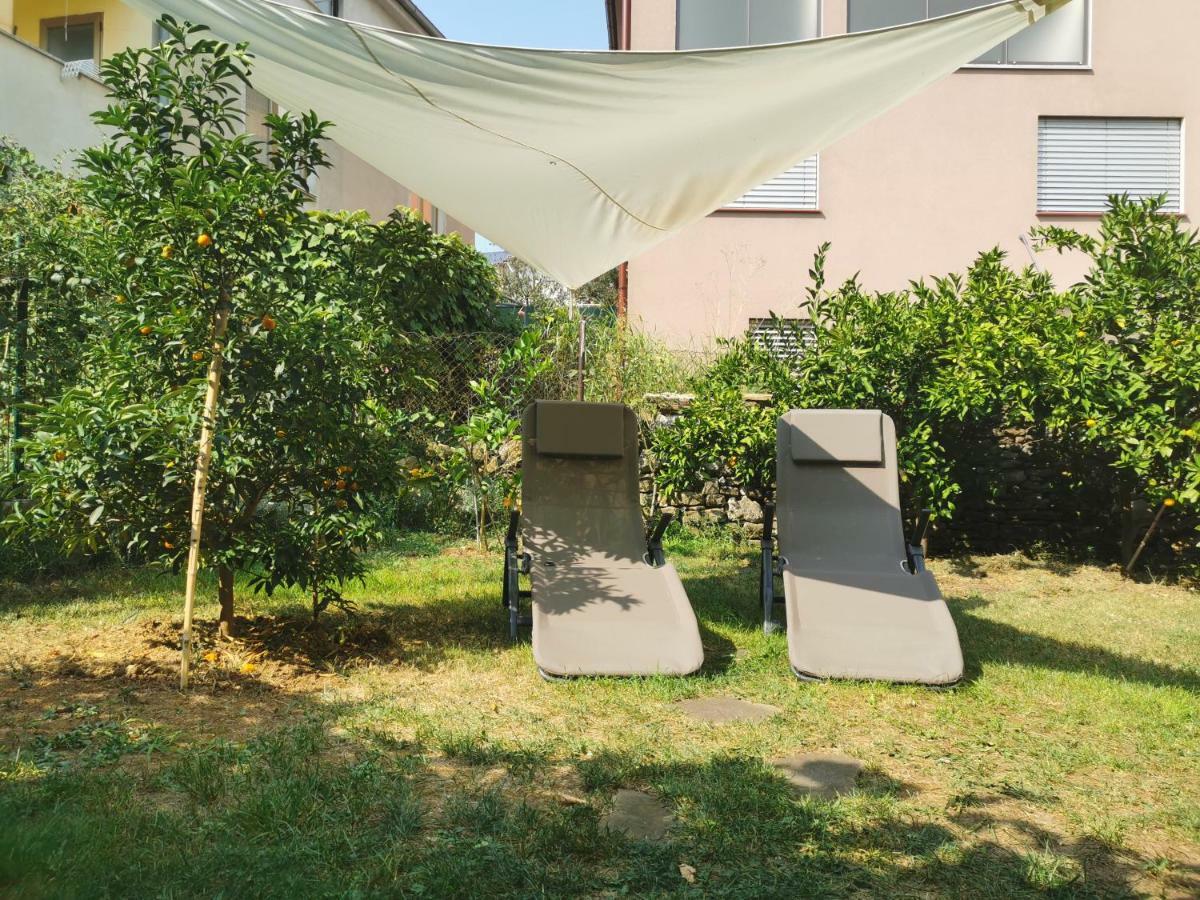 Medizen Apartment Izola Buitenkant foto